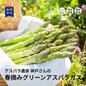 【今期販売開始】春摘みグリーンアスパラガス Lサイズ以上 500g 1kg 2kg 神戸ファーム こだわりの土 春の味覚 期間限定 おうちグルメ ハウス栽培 農家直送 クール便 岐阜県美濃加茂市 送料無料 ウェルカム