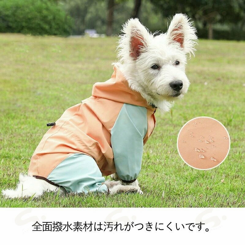 ���쥤�󥳡��� �ڥå��ѥ쥤�󥳡��� �쥤�󥦥��� ������ �淿�� ���� ˹���դ� �꡼�ɷꤢ�� ȿ�ͥơ����դ� ���� ǭ�� �ɥå������� ����åȥ����� ���ѥ쥤�󥳡��� �ɿ��� �夻�䤹�� ���� ι�� ���Ф��� ������ ���� ���� �߱��к�