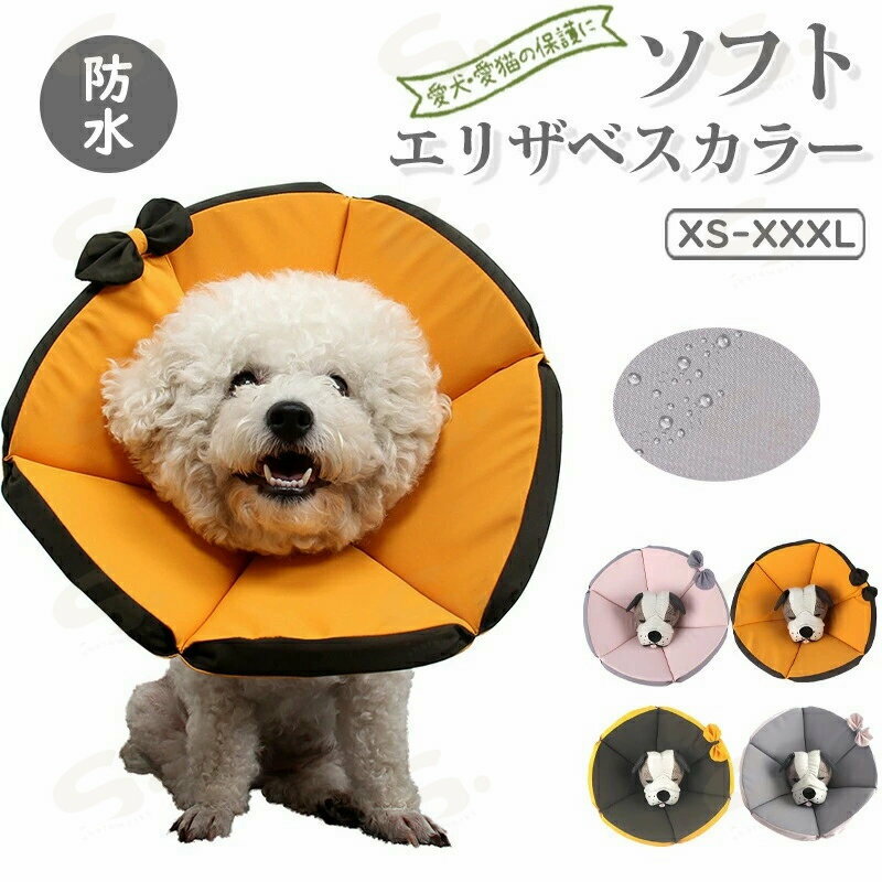 ���ꥶ�٥����顼 �ڥå��ѥ��եȥ��ꥶ�٥����顼 �� ���� ǭ �ͥ� �Ѹ� ���եȥ����� �ɿ� ��ñ���� ���� ��ޤ���餫���Ǻ� �� �礭...