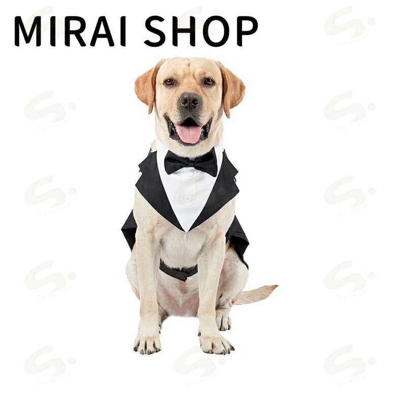 ペット スーツセット ドッグ 犬 服 タキシード ベスト シャツ お買い得 結婚式 フォーマル リングドッグ 記念日 お祝い 男の子 プレゼント
