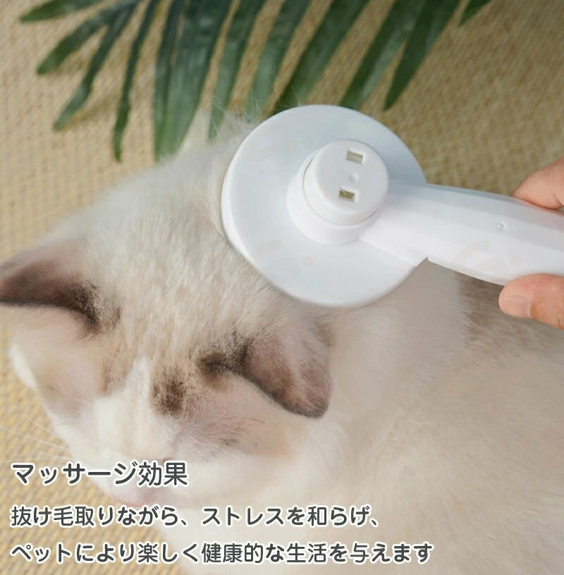 �ڥå��ѥ֥饷 ǭ �֥�å��� ���֥饷�ڥ��꡼��ۥ磻�ȥԥ󥯡� �ڥå��Ѥ��� �ԥ�֥饷 �������� �ޥå����� ���� ǭ �֥饷 û�� Ĺ�� ȴ���Ӽ�� ��󥿥å����� ����󥸥��꡼�� ��������ǽ