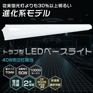 ̵LED١饤 40W 2 ȥշ 50W 10000lm 125cm ŵ忧3000K ʥ ⵱ LEDָ η η ŷľշ ľɷָ  뤤 LED Ĥʤ ʤ ɿ 󥰥饤 å饤 ŷ ߾