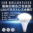 LED バラストレス水銀灯 70W PAR56 色選