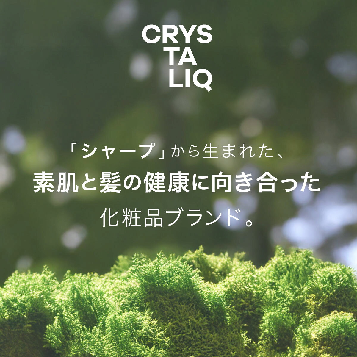 【在庫限り】 LDK A評価受賞 シャープ 公式 美容室専売 越え クリスタリーク シャンプー・トリートメント お試し 旅行用 トライアル ヘアケア スカルプシャンプー アミノ酸シャンプー 頭皮 保湿 頭皮ケア ノンシリコン 日本製 レビュー特典あり sharp-cocorostore-10000044 【シャープ公式】COCORO STORE サンプル画像3