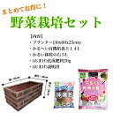 種を買うだけ!パーフェクト栽培セット!