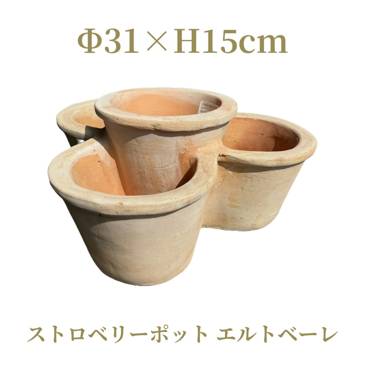 楽天市場】テラコッタ 鉢 いちごの通販 楽天市場】テラコッタ 鉢 いちごの通販
