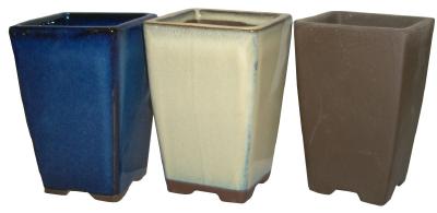 山野草 盆栽 小さい 豆盆栽 懸崖 送料無料　 丸 円【豆懸崖　1．5号　3点セット】