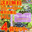 ブルーベリーの土（バットグアノ入り）14L×4袋セット