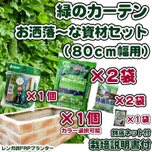 【ハイクラス】緑のカーテン幅80cm「ワンランク上のお洒落な有機栽培セット」（苗なし）【グリーンカーテン】【ゴーヤ 栽培セット】 送料無料