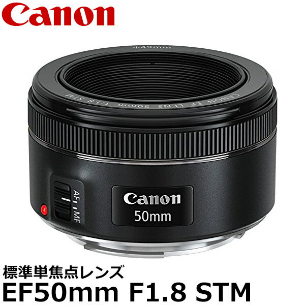 【送料無料】 キヤノン EF50mm F1.8 STM [コンパクトな標準単焦点レンズ 0570C001 EFマウント 交換レンズ Canon] ※欠品：ご注文より 約3ヶ月かかります