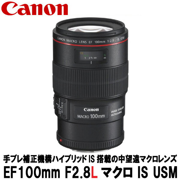 【送料無料】 キヤノン EF100mm F2.8Lマクロ I