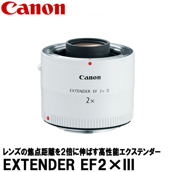 Υ EXTENDER EF2III 4410B001 ̵ۢʡʸ塢6ʾ夫ޤ