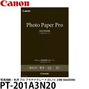 キヤノン PT-201A3N20 写真用紙・光沢 プロ プラチナグレード A3ノビ 20枚 8666B006 【送料無料】