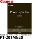 キヤノン PT-201MG20 写真用紙・光沢 プロ プラチナグレード 六切 20枚 8666B007 【メール便 送料無料】