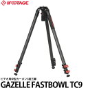 yz IFOOTAGE GAZELLE FASTBOWL TC9 ^Or [J[{3i/L1650mm/Be]