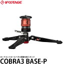 yz IFOOTAGE COBRA3 BASE-P y_ڎdl x[X̂