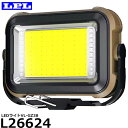 LPL L26624 LEDライトVL-GZ38 【メール便 送料無料】