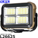 LPL L26625 LEDライトVL-GZ39 【メール便 送料無料】