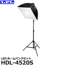 【送料無料】 LPL L19112 LEDホームバンクセット HDL-4520S [撮影機材 LED照明 ライトスタンド付 軽量 ソフトボックス]