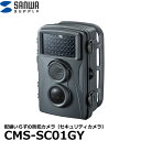 【送料無料】 サンワサプライ CMS-SC01GY セキュリティカメラ [防犯カメラ 電源工事・配線工事・設置工事不要]