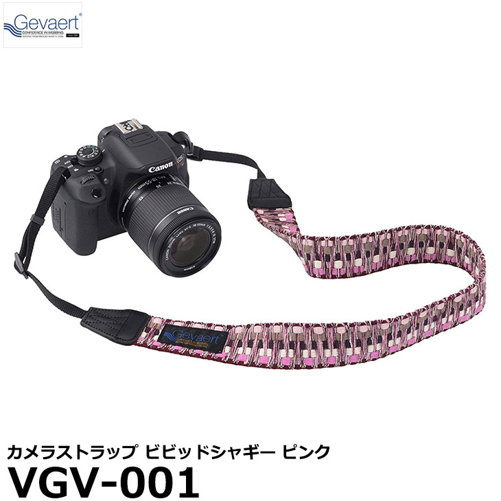 【メール便 送料無料】 エツミ VGV-001 ゲバルトカメ