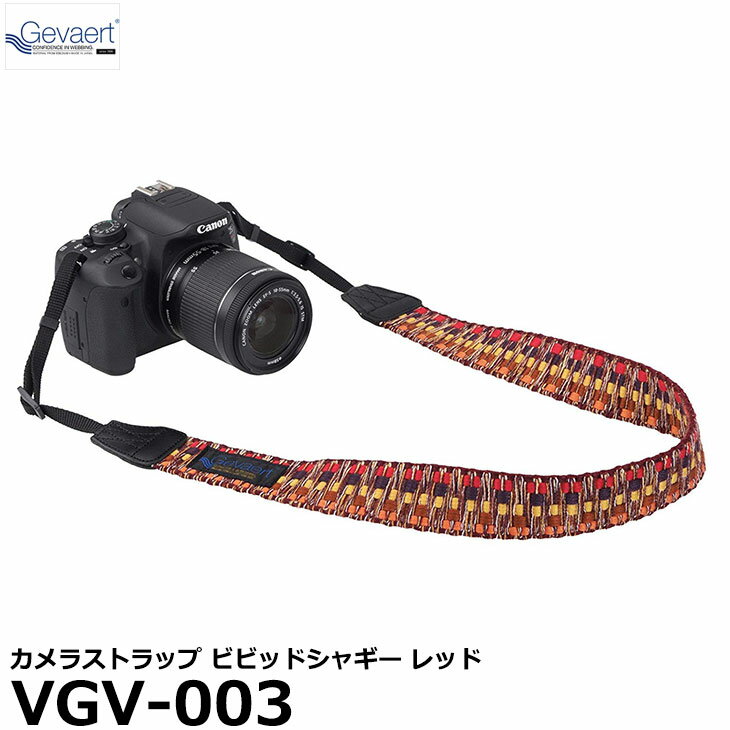 【メール便 送料無料】【即納】 エツミ VGV-003 ゲバ