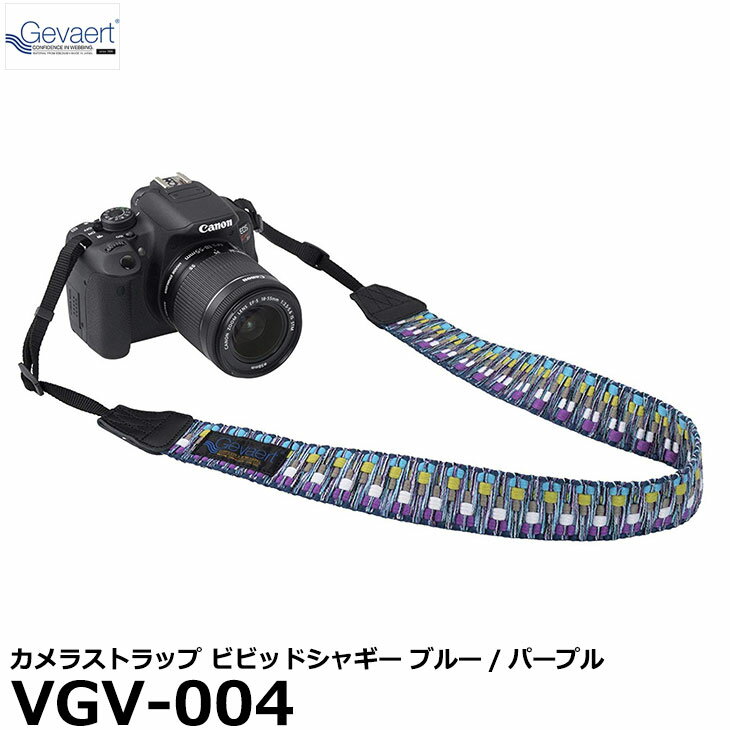 【メール便 送料無料】 エツミ VGV-004 ゲバルトカメ