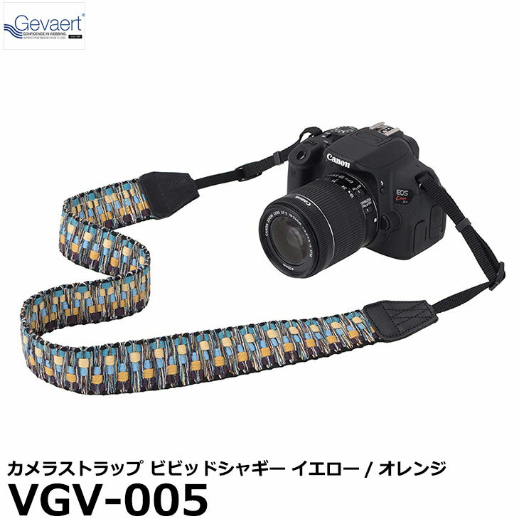 【メール便 送料無料】 エツミ VGV-005 ゲバルトカメ