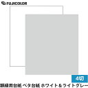フジカラー 額縁用台紙 ベタ台紙 4切 ホワイト&ライトグレー 【送料無料】