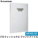 フジカラー プロフェッショナル プリントファイル A3ノビ 40枚収納 【送料無料】
