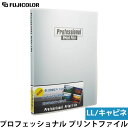 フジカラー プロフェッショナル プリントファイル LL キャビネサイズ104枚収納 【メール便 送料無料】