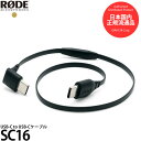 【メール便 送料無料】【即納】 RODE SC16 USB-C to USB-Cケーブル [USB Type-C オス−オス スマホ 接続ケーブル 国内正規品]