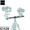 GITZO G1539 ダブルプラットフォーム 【送料無料】