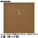 【メール便 送料無料】 ハクバ M1770-2L-3BR ペ...