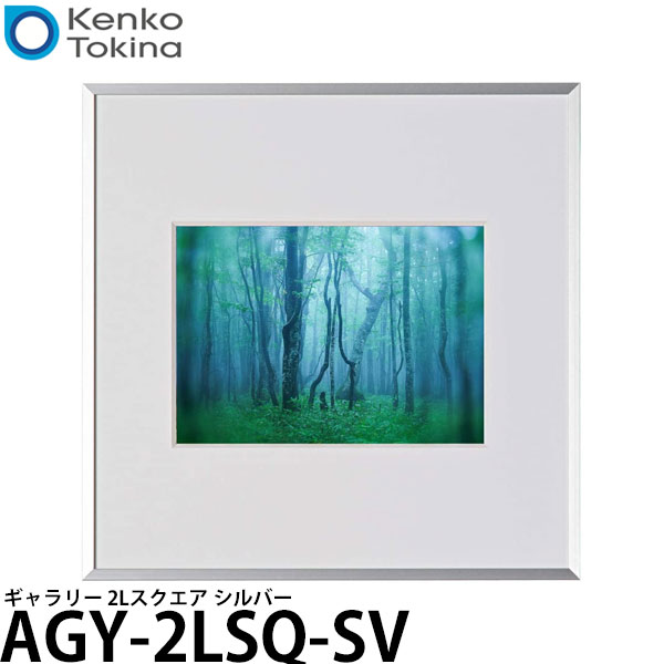 【送料無料】 ケンコー・トキナー AGY-2LSQ-SV ギャラリー 2Lスクエア シルバー