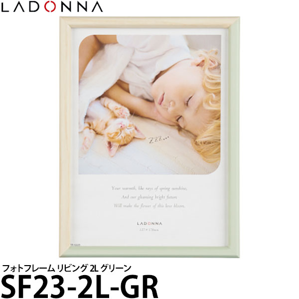 ɥ SF23-2L-GR եȥե졼 ӥ 2L ꡼ ڥ᡼ ̵