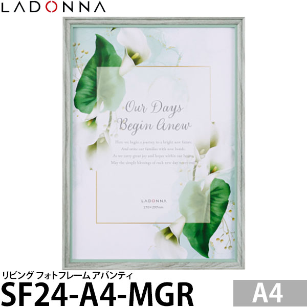ɥ SF24-A4-MGR ӥ եȥե졼 Хƥ A4 ߥȥ꡼ ڥ᡼ ̵