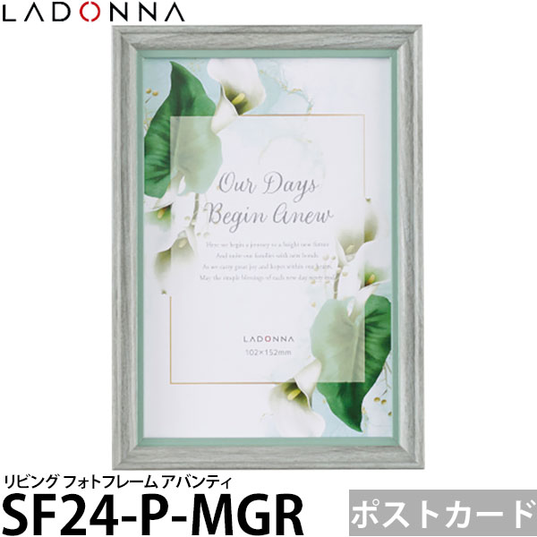 ラドンナ SF24-P-MGR リビング フォトフレーム アバンティ ポストカード ミントグリーン 【メール便 送..