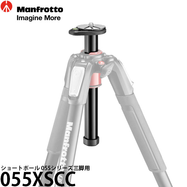 楽天市場】055CXPRO3の通販 楽天市場】055CXPRO3の通販