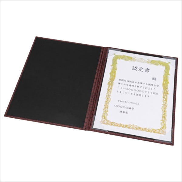 （まとめ） ライオン事務器PPカラーホルダー（高透明） A4 厚さ0.2mm 透明 CF-6C-A4 1セット（5枚） 【×5セット】