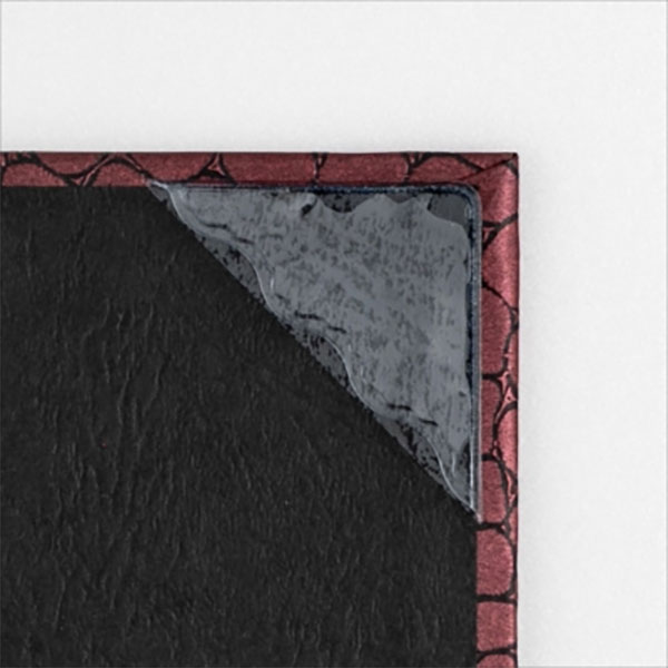 （まとめ） ライオン事務器PPカラーホルダー（高透明） A4 厚さ0.2mm 透明 CF-6C-A4 1セット（5枚） 【×5セット】