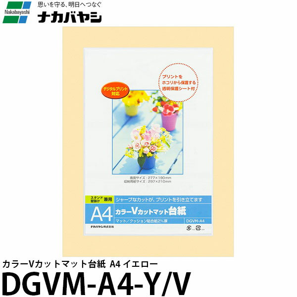 ナカバヤシ DGVM-A4-Y/V カラーVカットマット台紙 A4 イエロー 【送料無料】