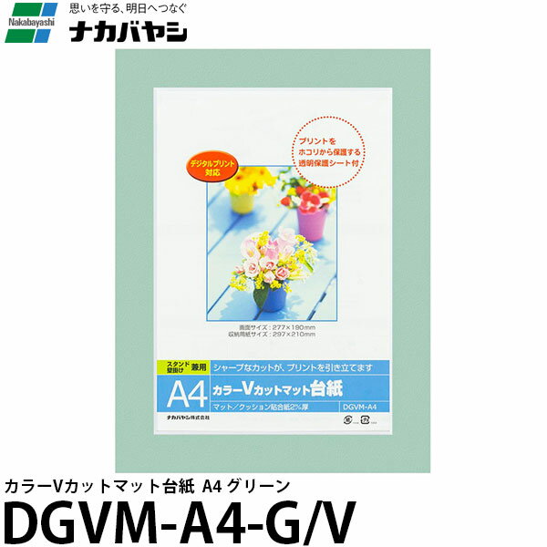 【送料無料】 ナカバヤシ DGVM-A4-G/V カラーVカットマット台紙 A4 グリーン [フォトフレーム/紙製/壁掛]
