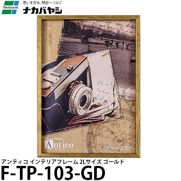 ڥ᡼ ̵ ʥХ䥷 F-TP-103-GD ƥ ƥꥢե졼 2L  [եȥե졼/̿Ω]