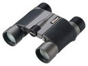 【送料無料】 ニコン 双眼鏡 ハイグレード 10×25 HG L DCF