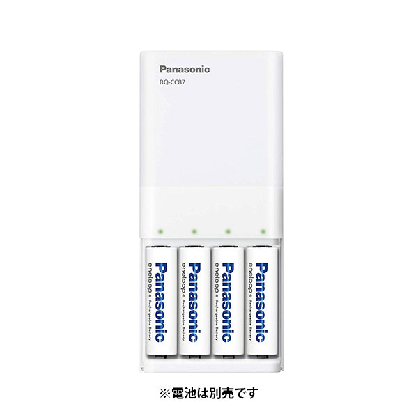 パナソニック PANASONIC アルカリボタン電池 LR1120P