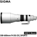 シグマ 300-600mm F4 DG OS | SPORTS ソニーEマウント用 【送料無料】※受注生産