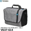【送料無料】 TENBA V637-614 スカイライン13