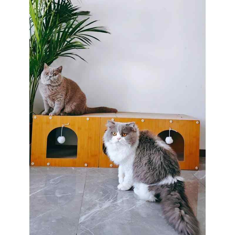 猫 爪とぎ 猫ハウス 猫トンネル 段ボール 耐摩耗 屑が出にくい 自立式 二層 猫小屋 爪磨き 猫用おもちゃ(x2)