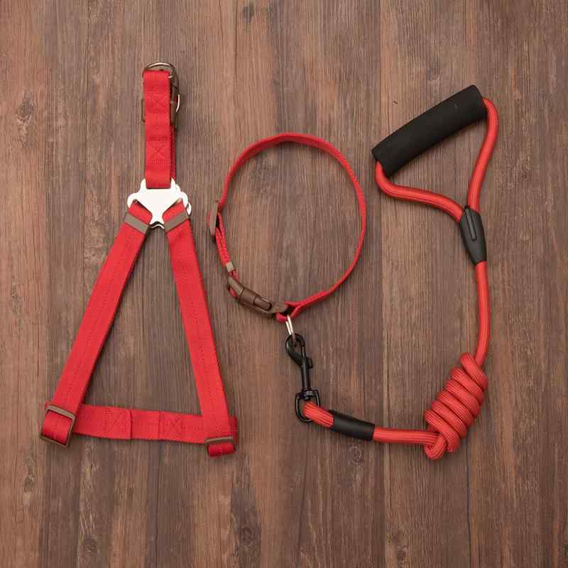 Care Supplies - 犬具 犬用 リード ハーネス 首輪 セット 小型犬 中型犬 ナイロン製 レッド ブルー ブラック イエロー オレンジ グレー スカイブルー パープル ピンク(x2)